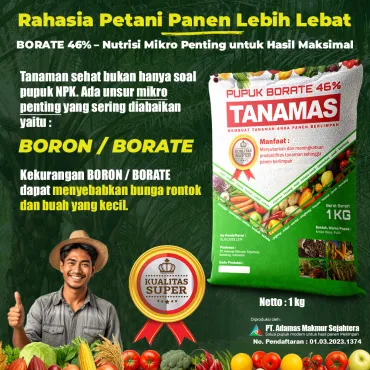 Pupuk Borate / Boron 46% Tanamas